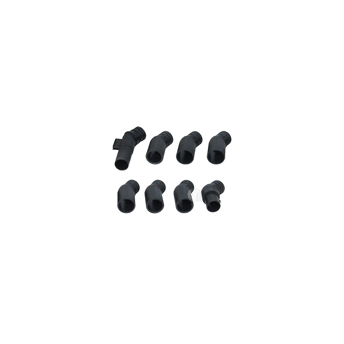00805221