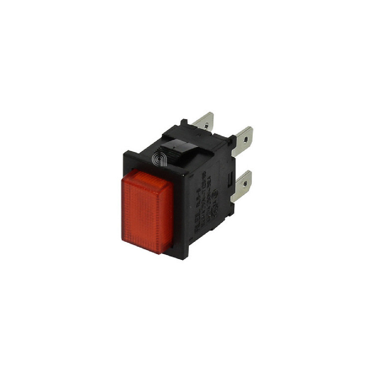 00815146