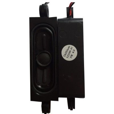 Altavoz TD Systems K24DLM7H TASSJROHS YX2280-A1 5W4