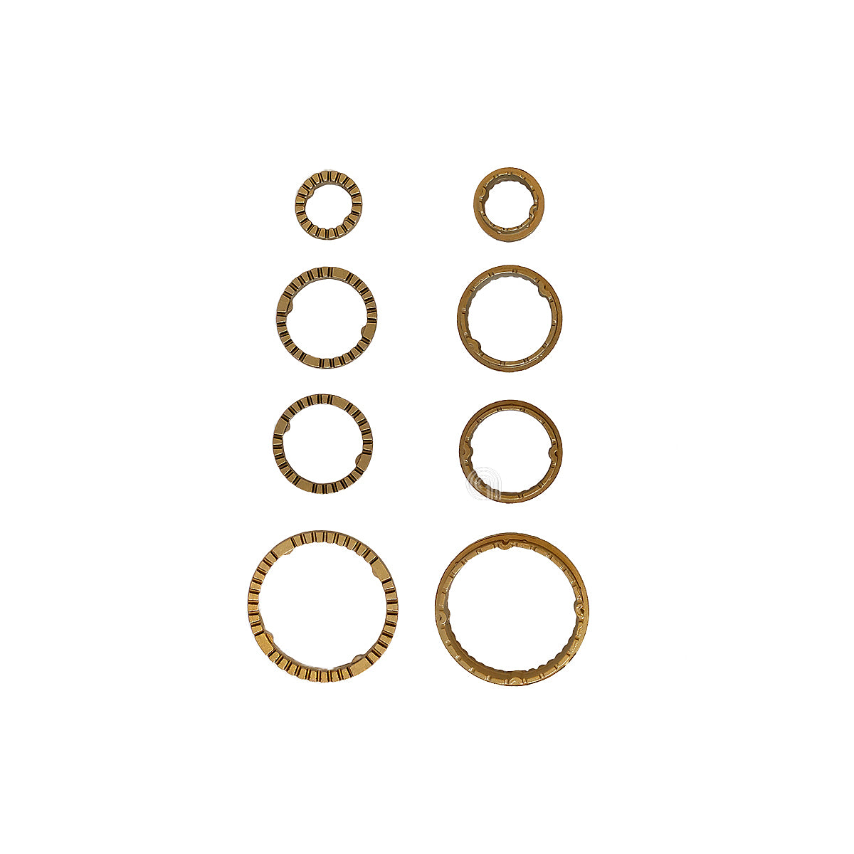 55605006
