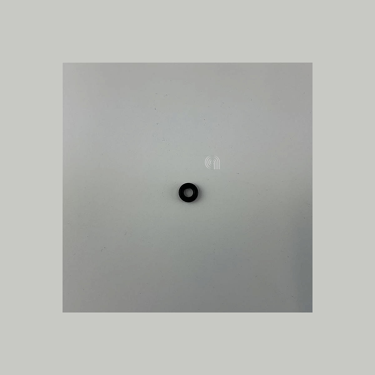 DLS5313279441