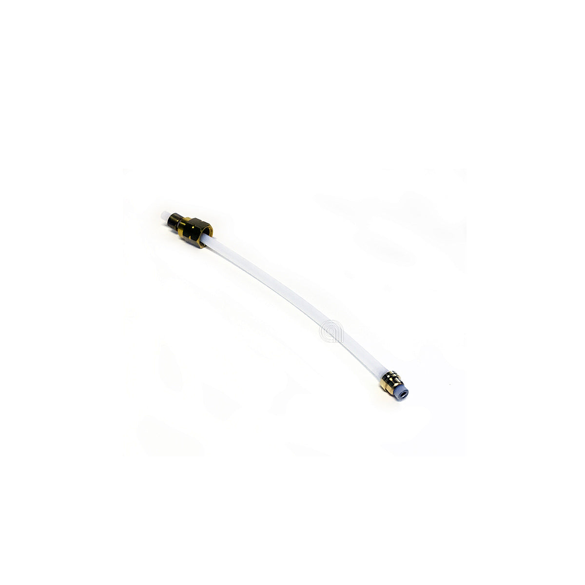 DLS5513219841