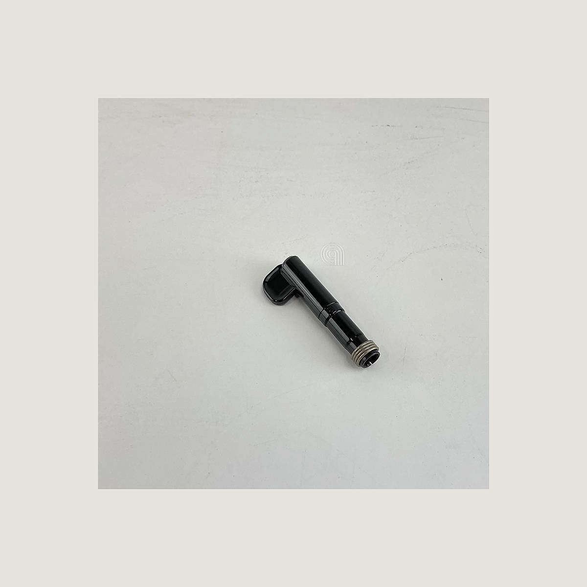 DLSAS13200080