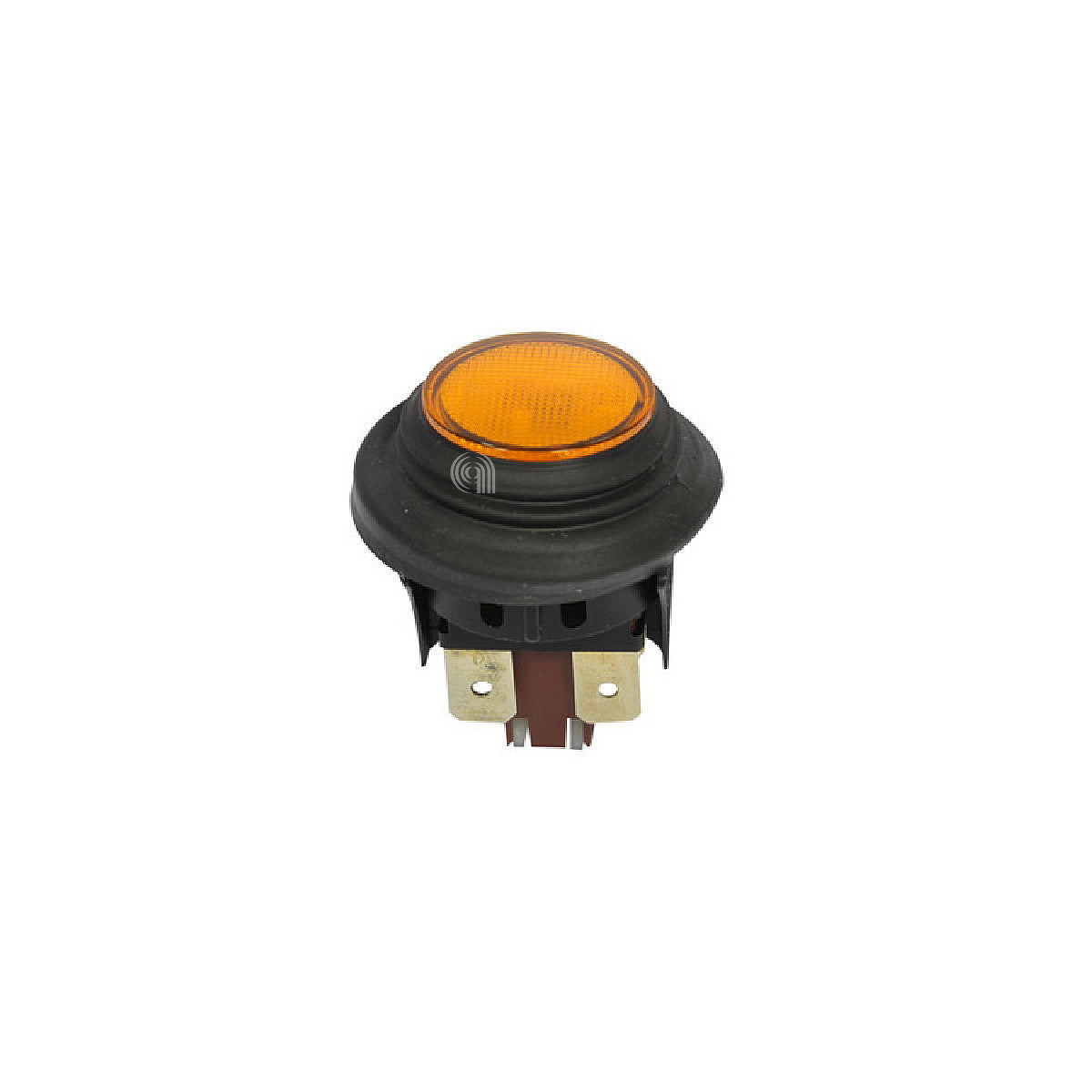 POLM0003817