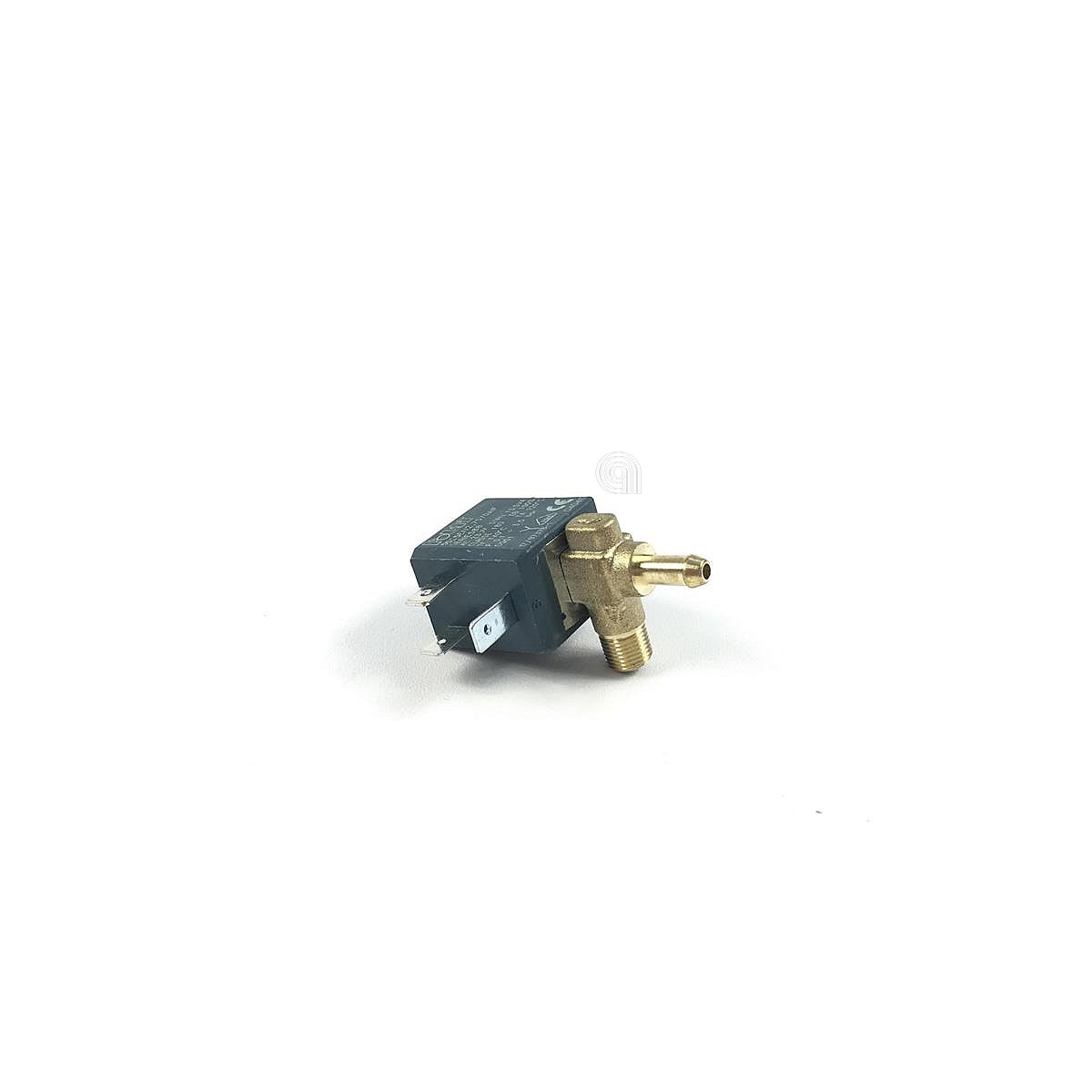 POLM0004198