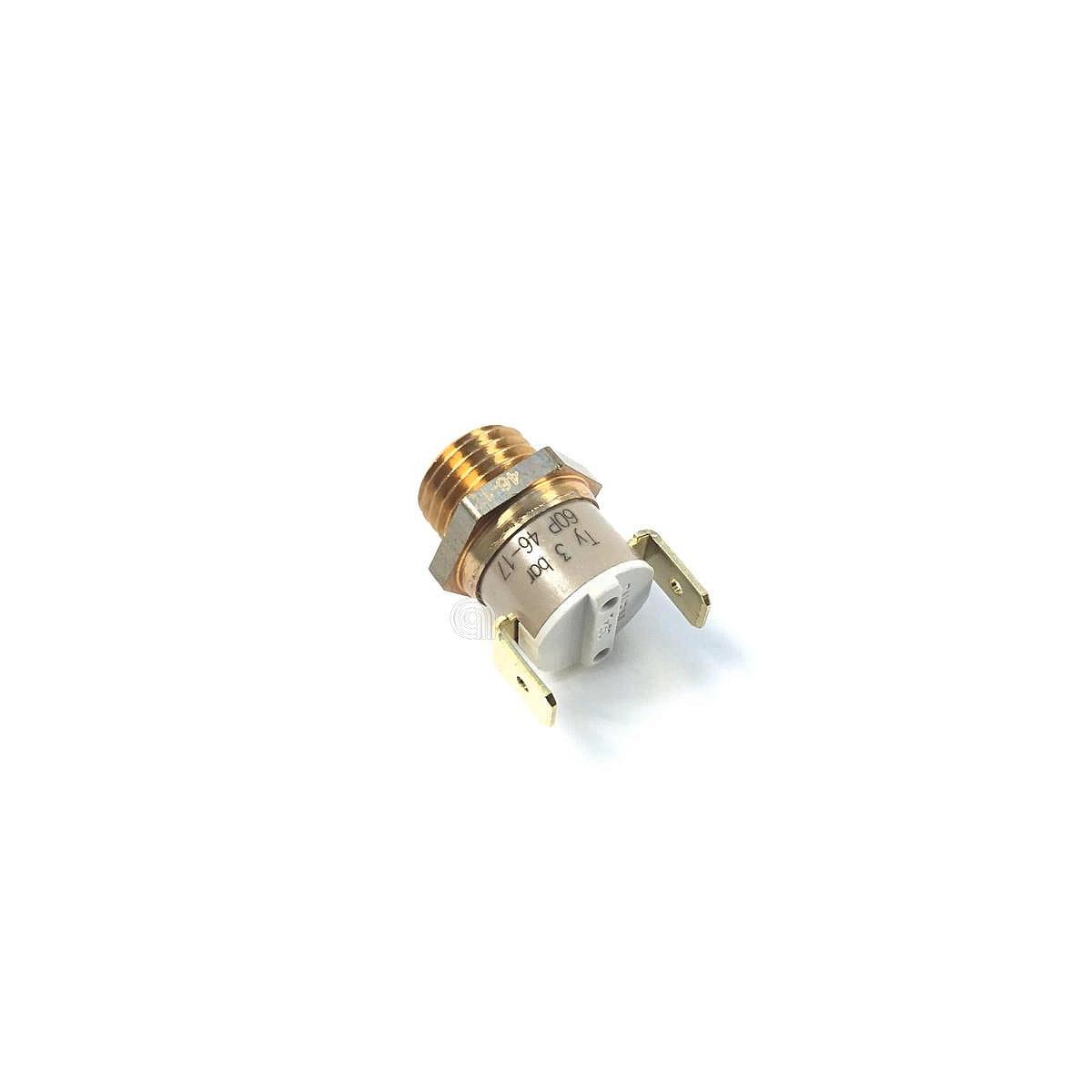 POLM0005011