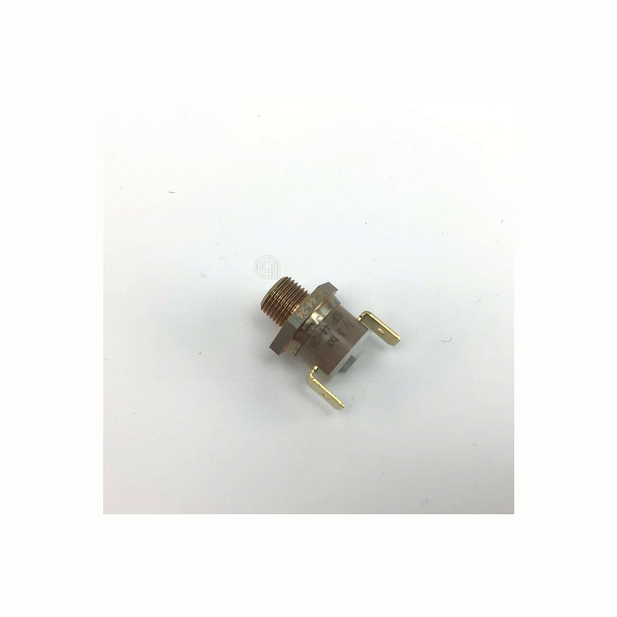 POLM0005832