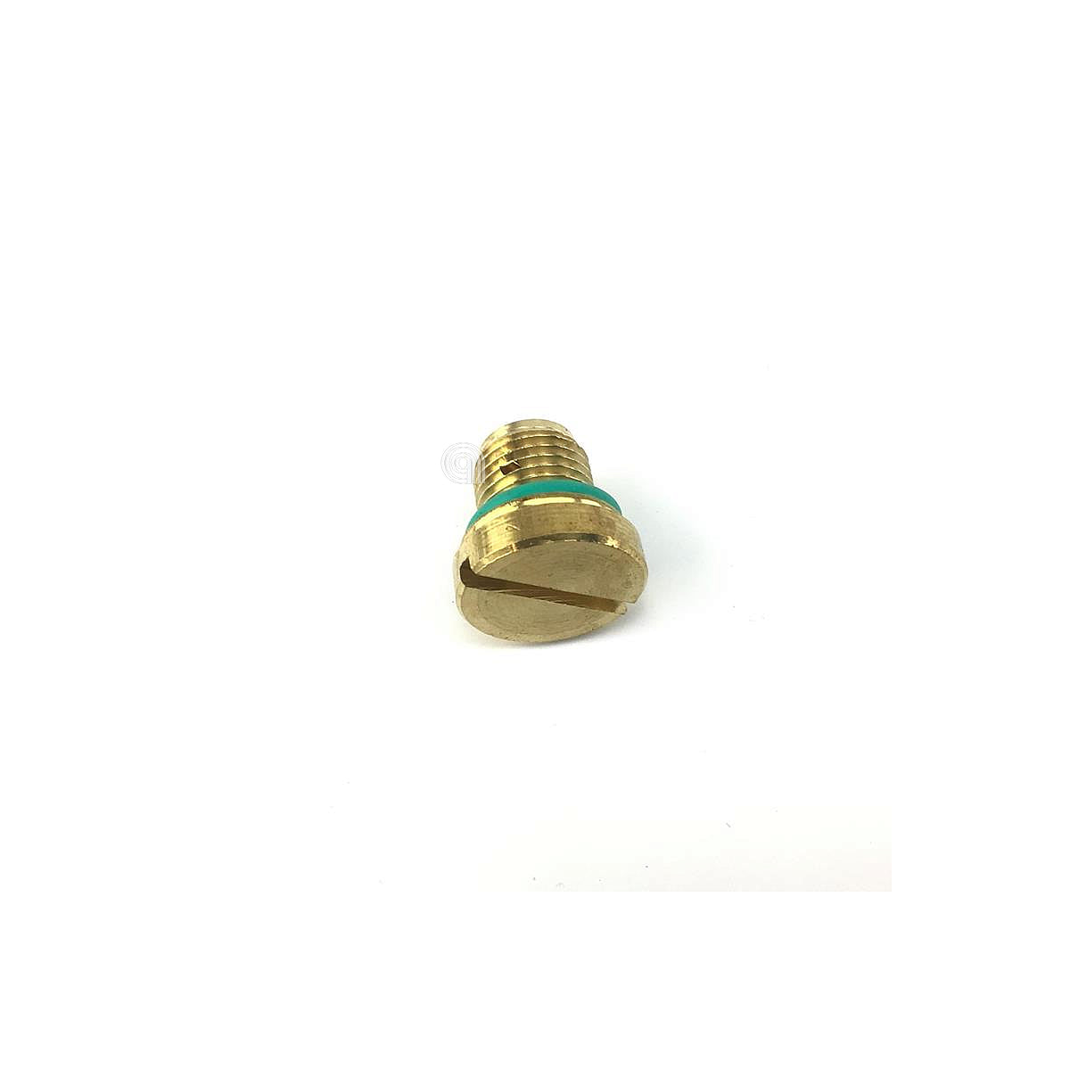 POLM0005904