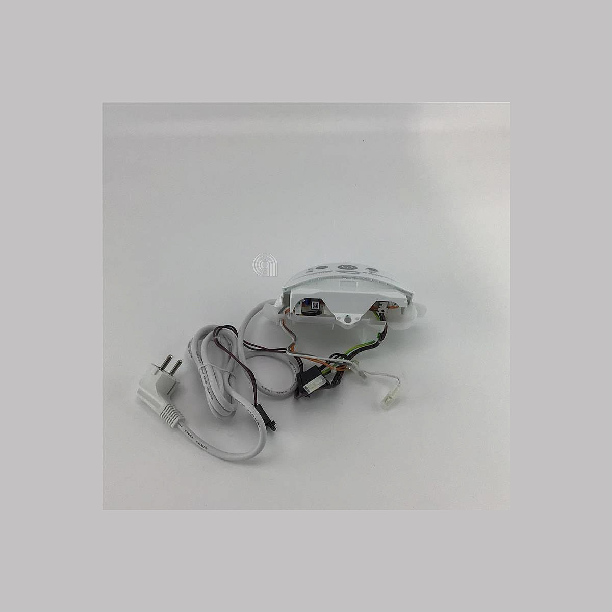 SEBCS-00145452