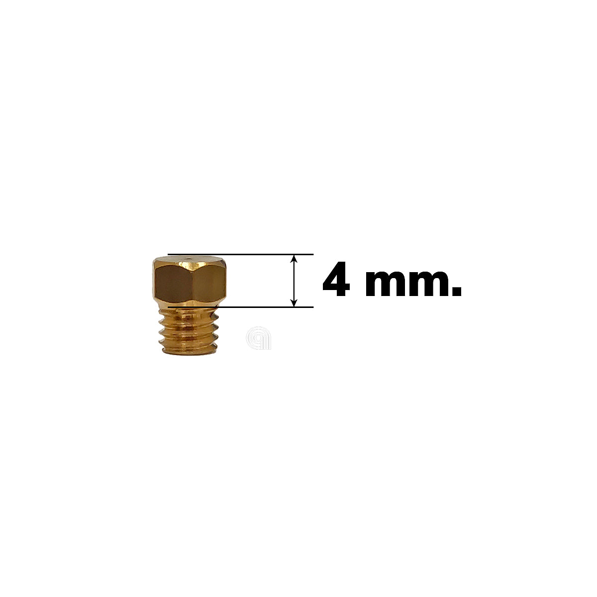 00537504