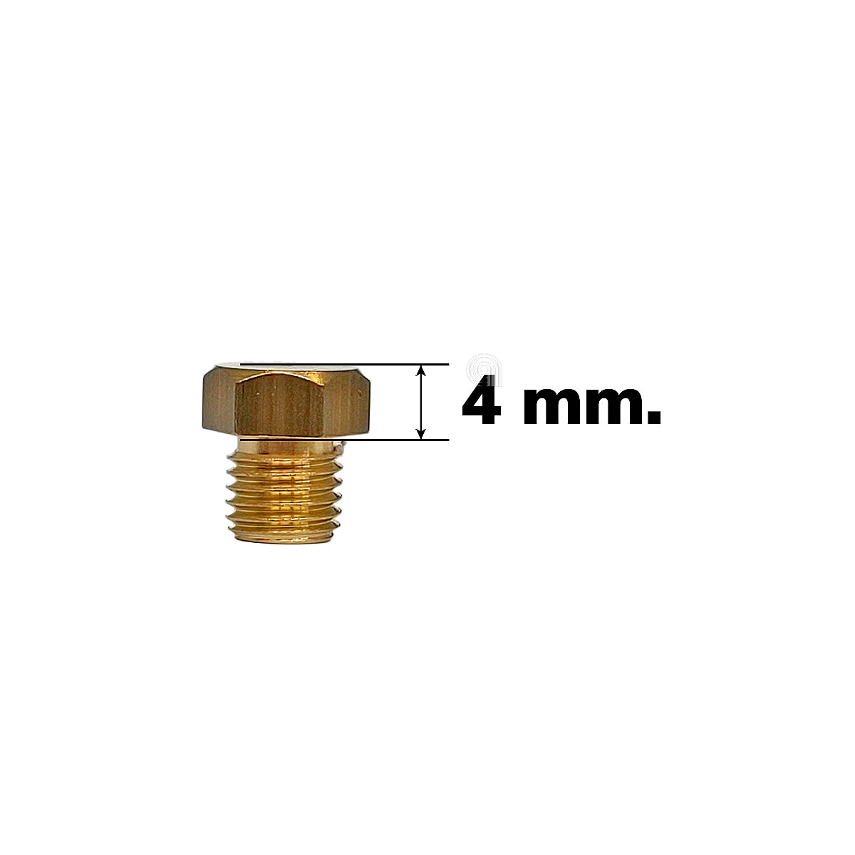 00537545