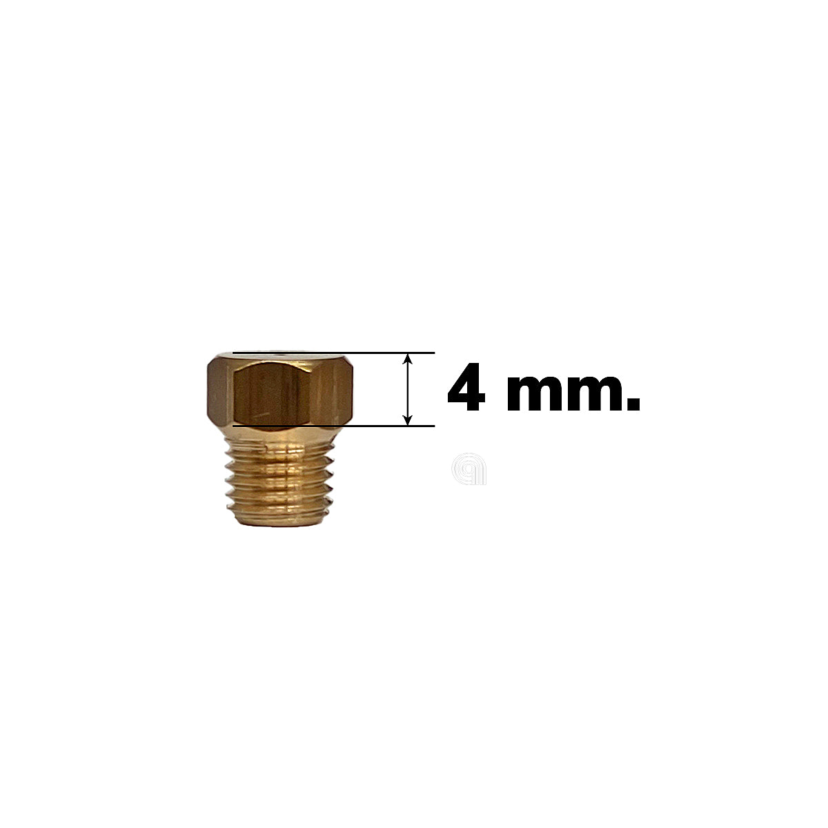 00537561
