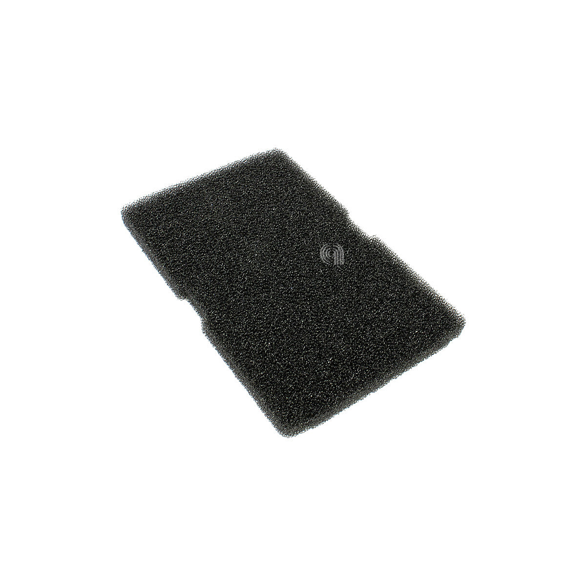 00540505