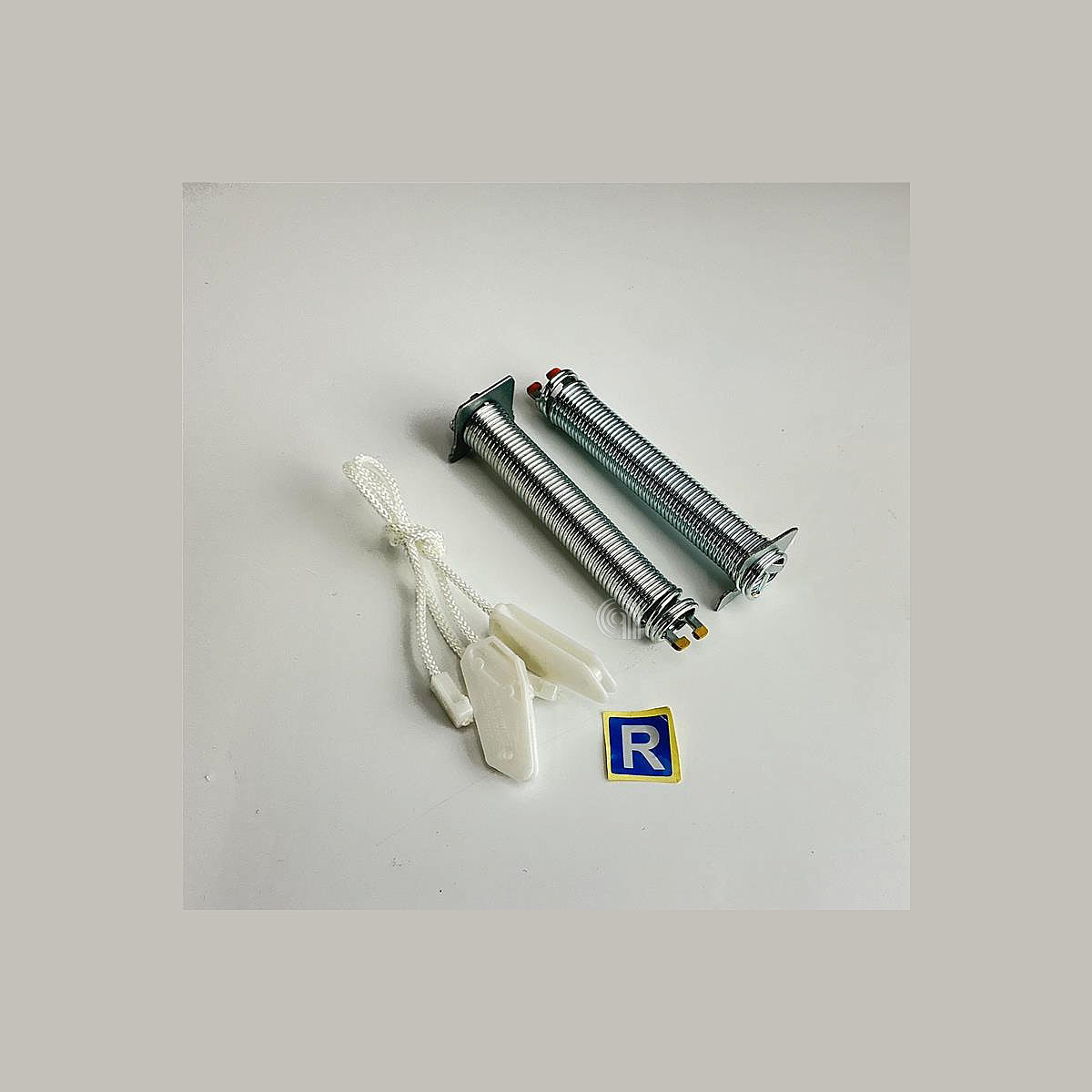 00540589