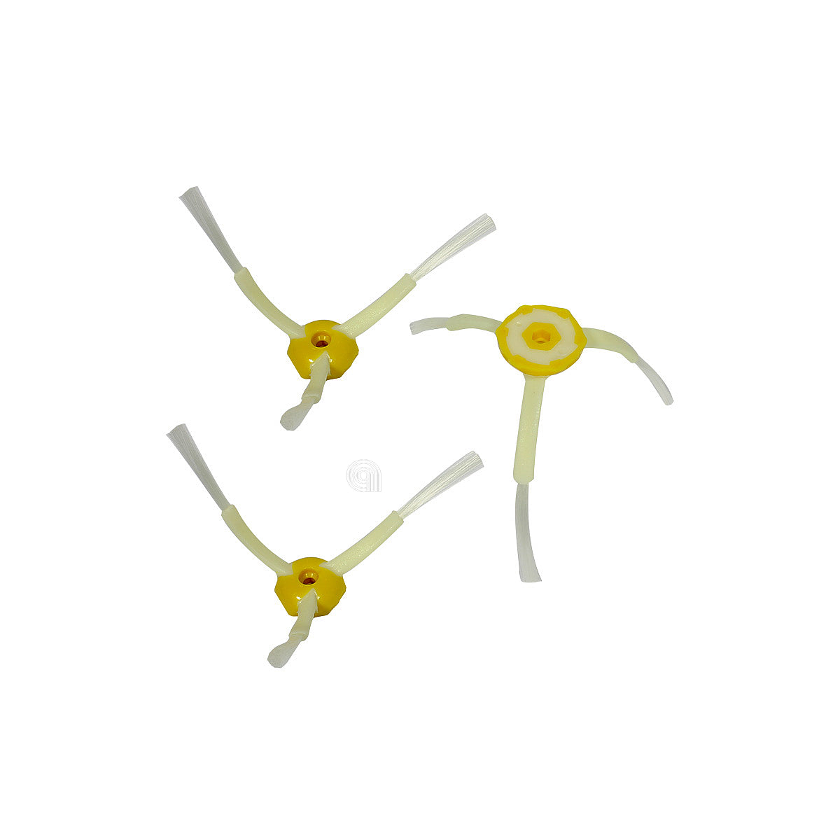 00802405
