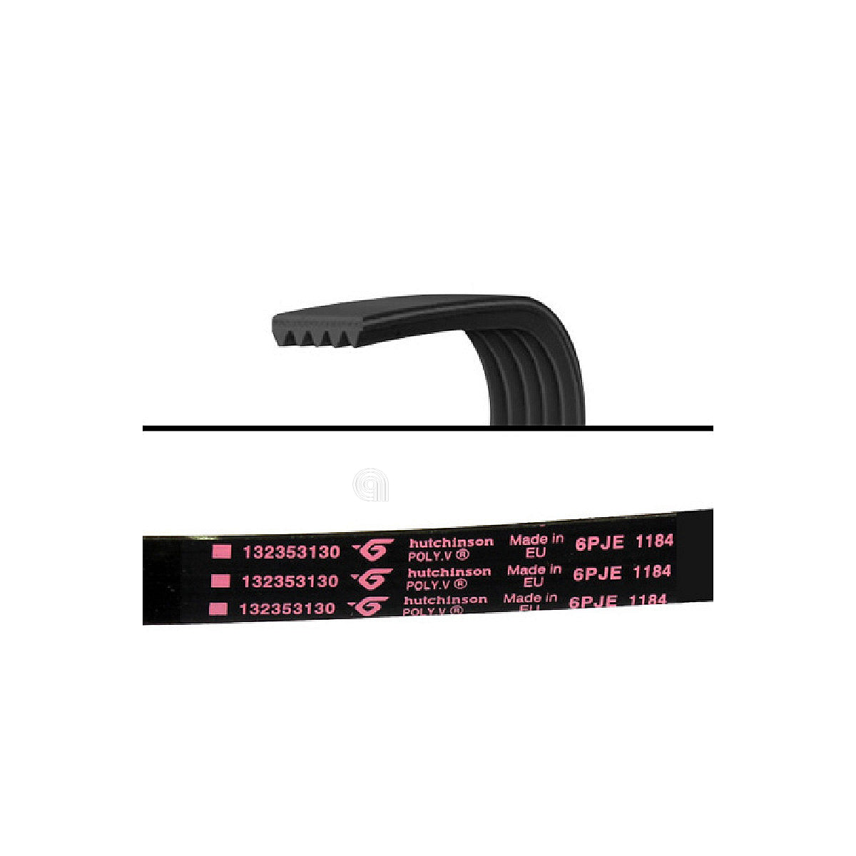 1323531309