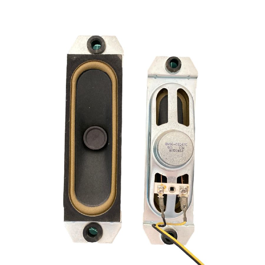 Altavoces Samsung LE40S66BD BN96-03247C swap de desmontaje