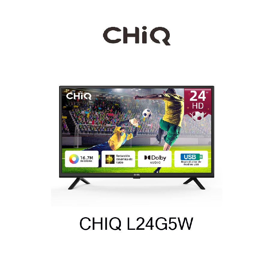 Despiece TV CHIQ L24G5W