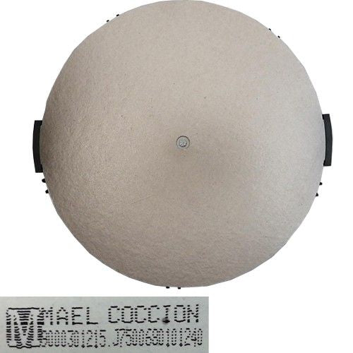 Bobina Inducción 900301215 J7500680101240, Bosch PIL631B18E/01 30cms
