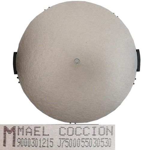 Bobina Inducción 900301215 J7500055030530, Balay 3EB997LQ/01 29,5 cm