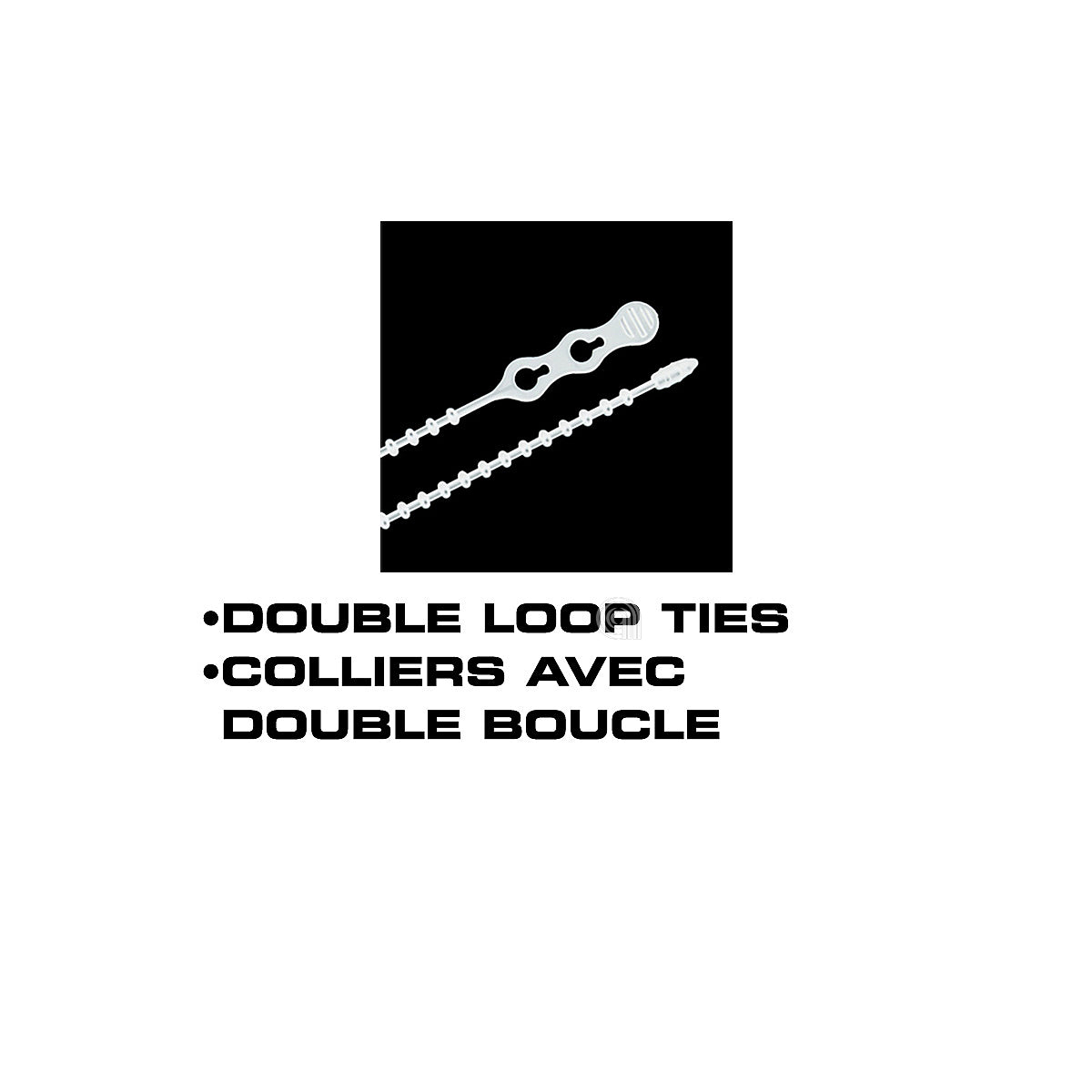 55504072