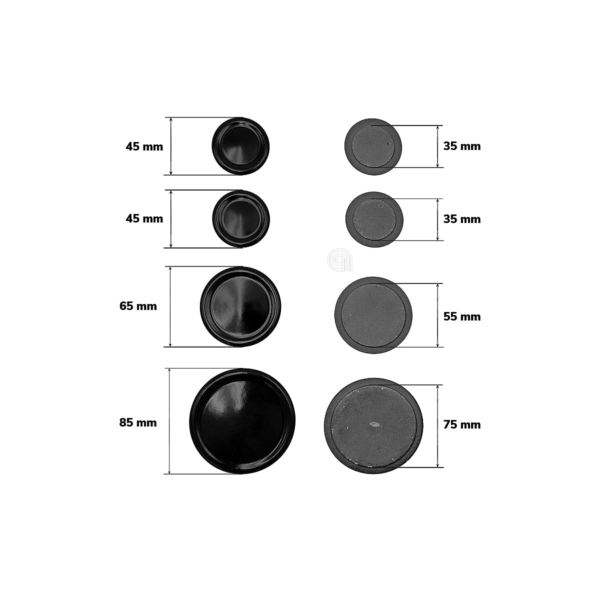 55605002