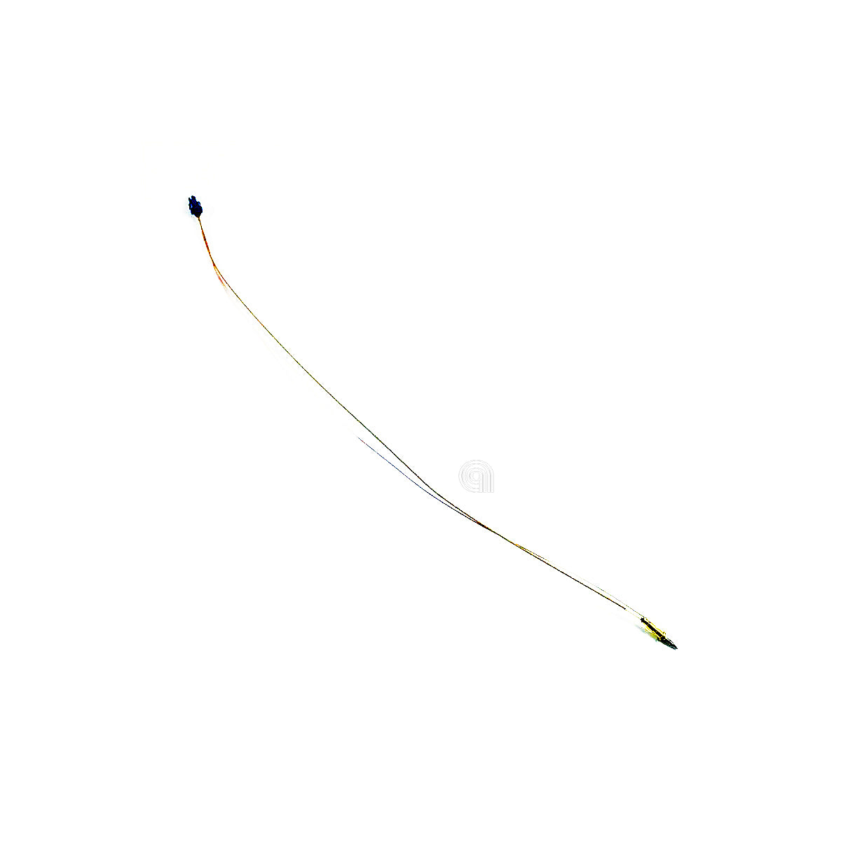 C00288658