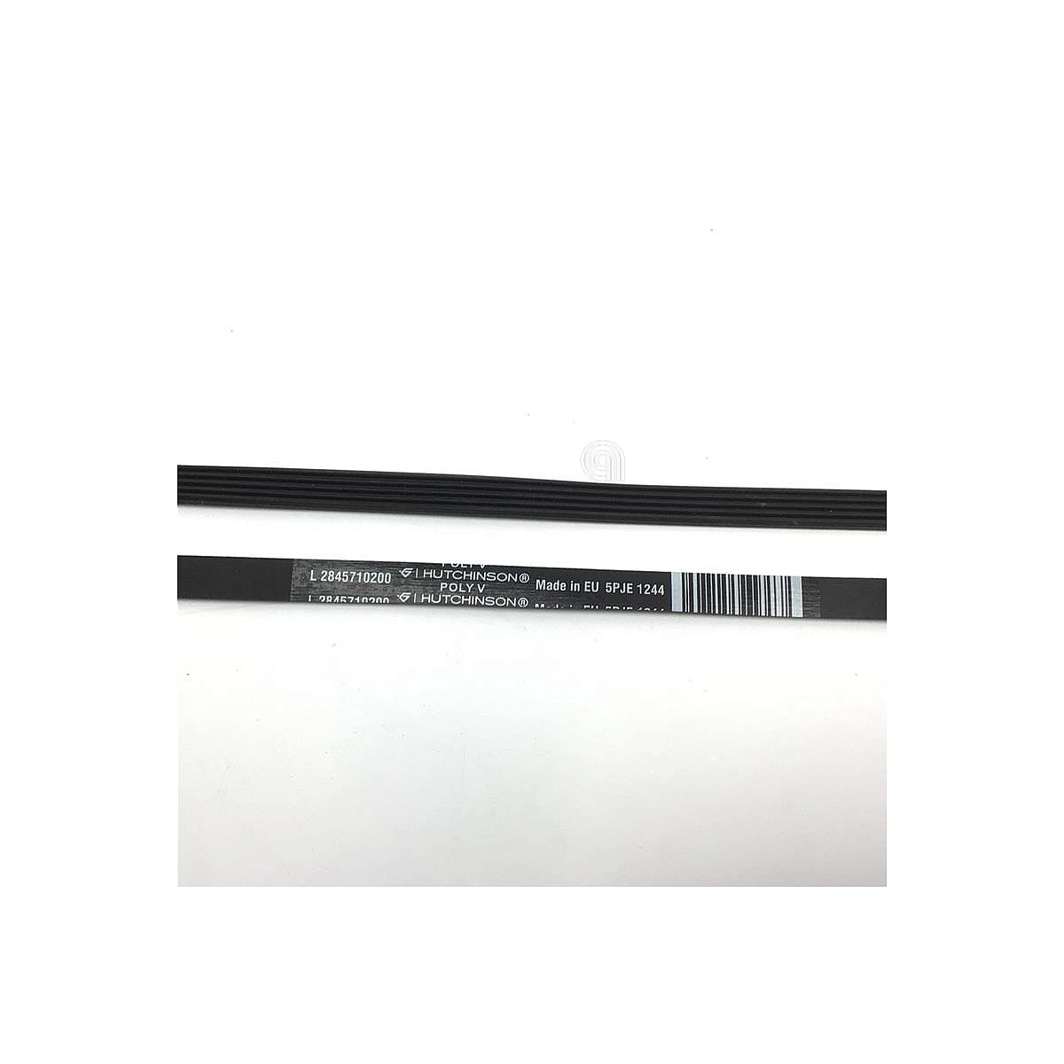 C00864585