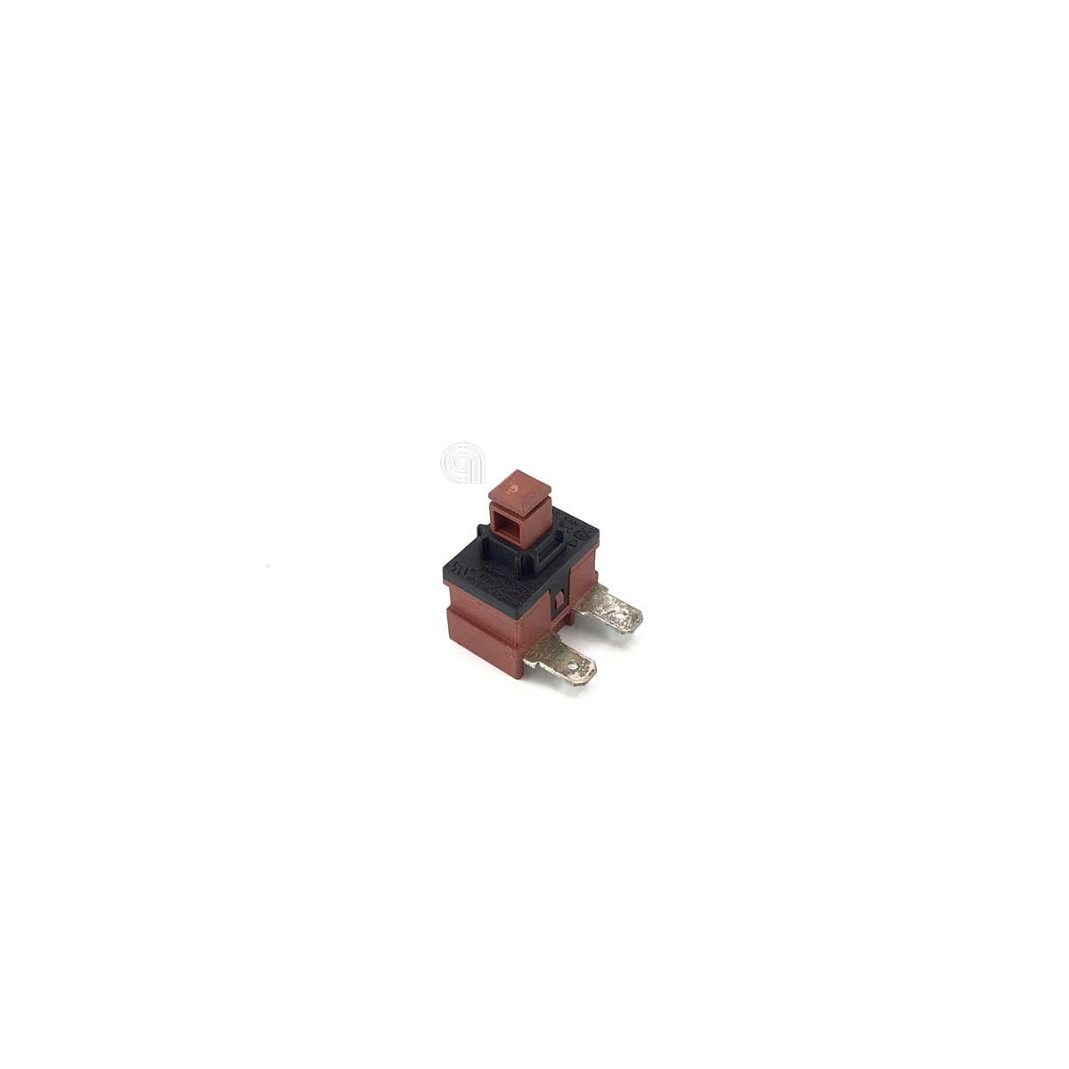 CAN49025425