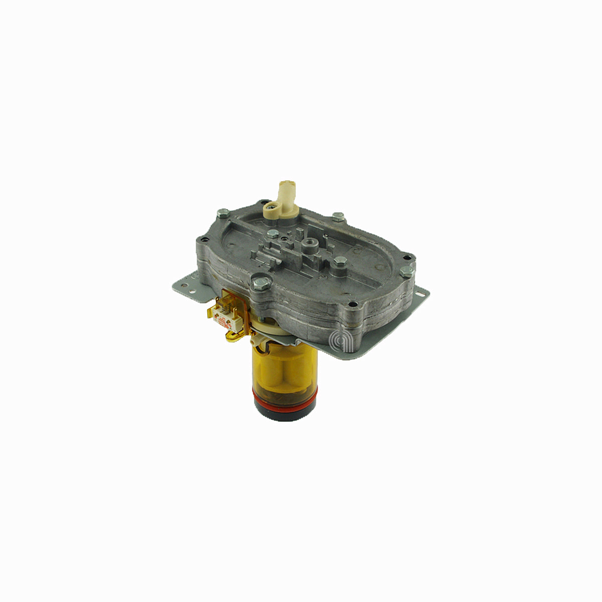 DLS5513227921
