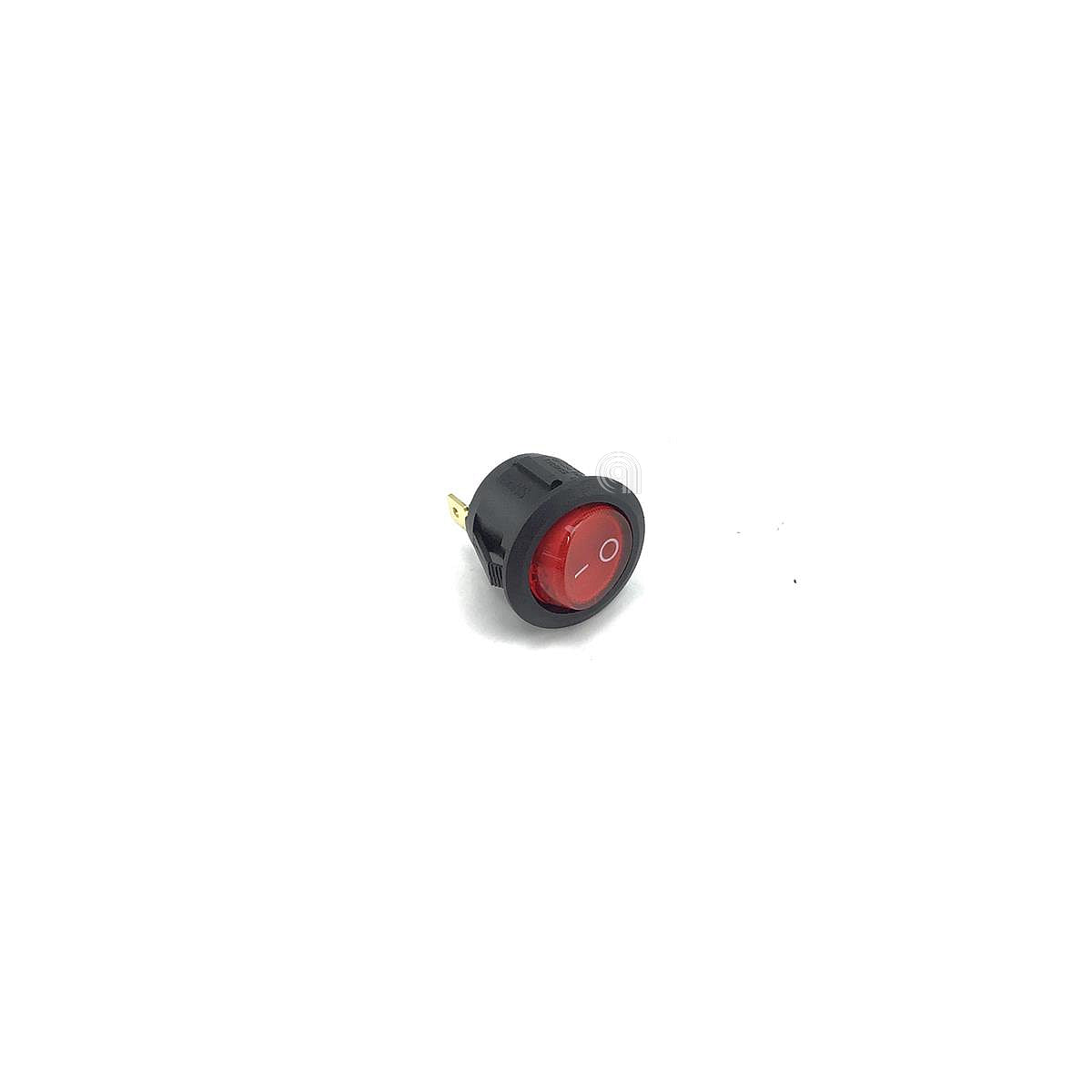 DLSAT2065760100