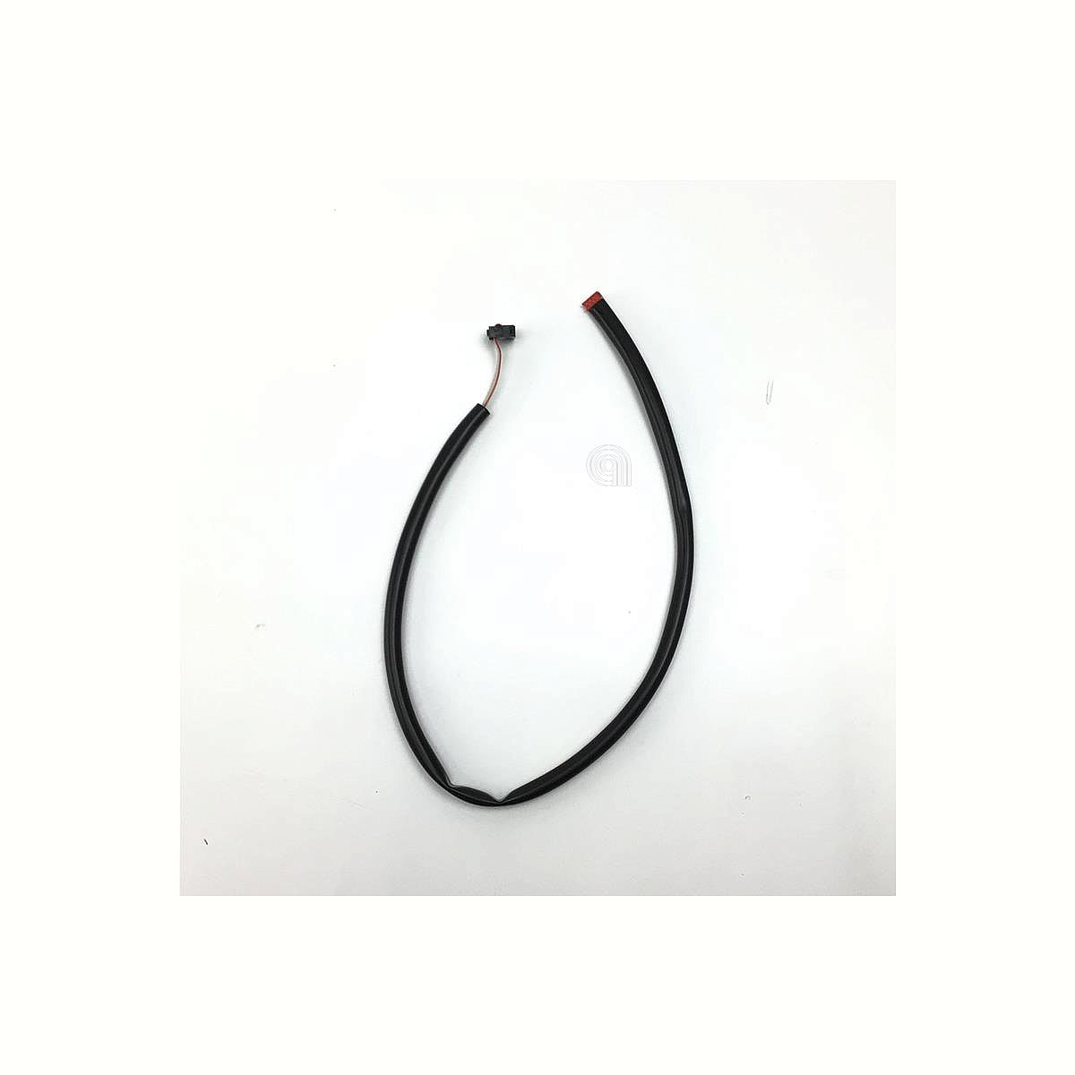 ELISPP0000037
