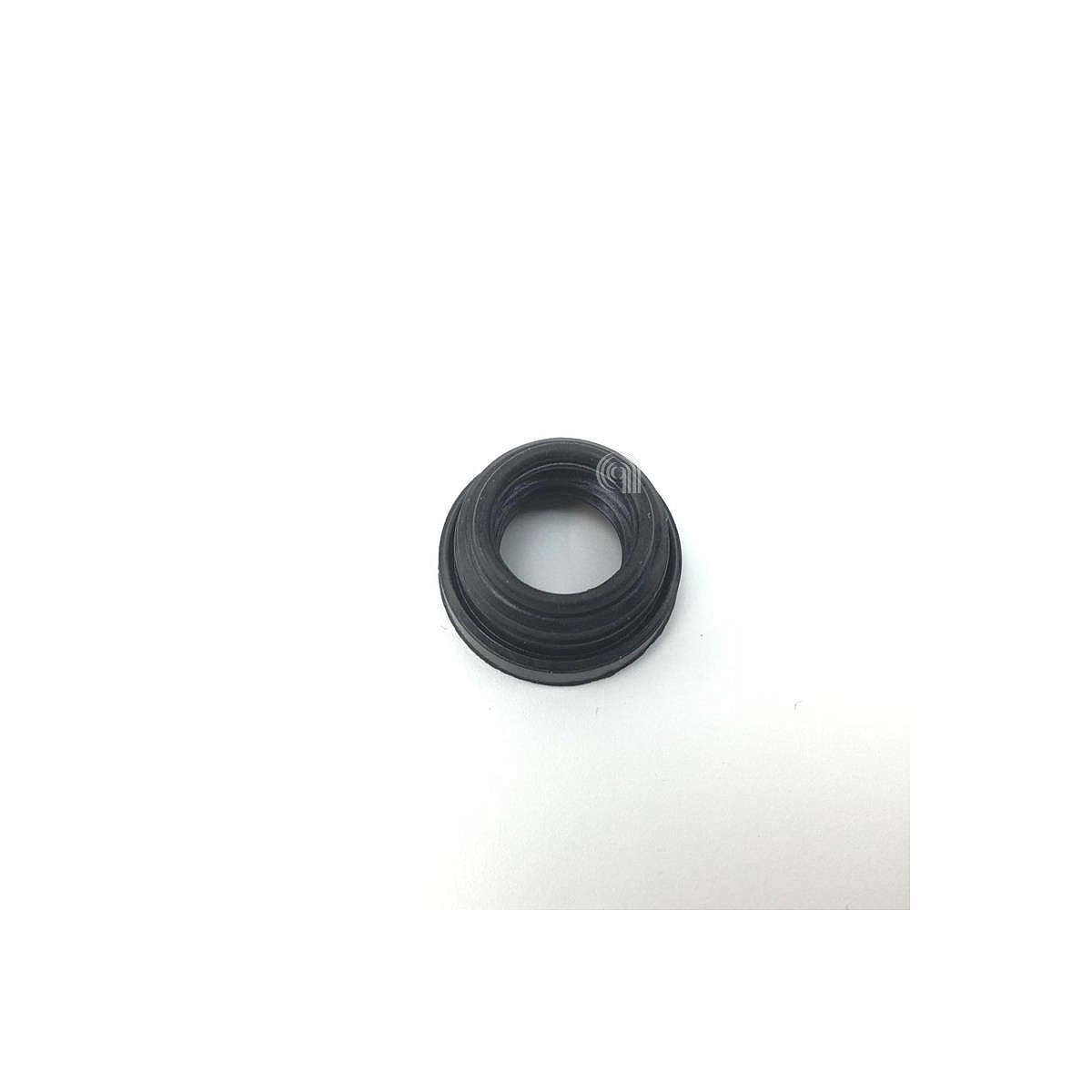 PHI996530001829