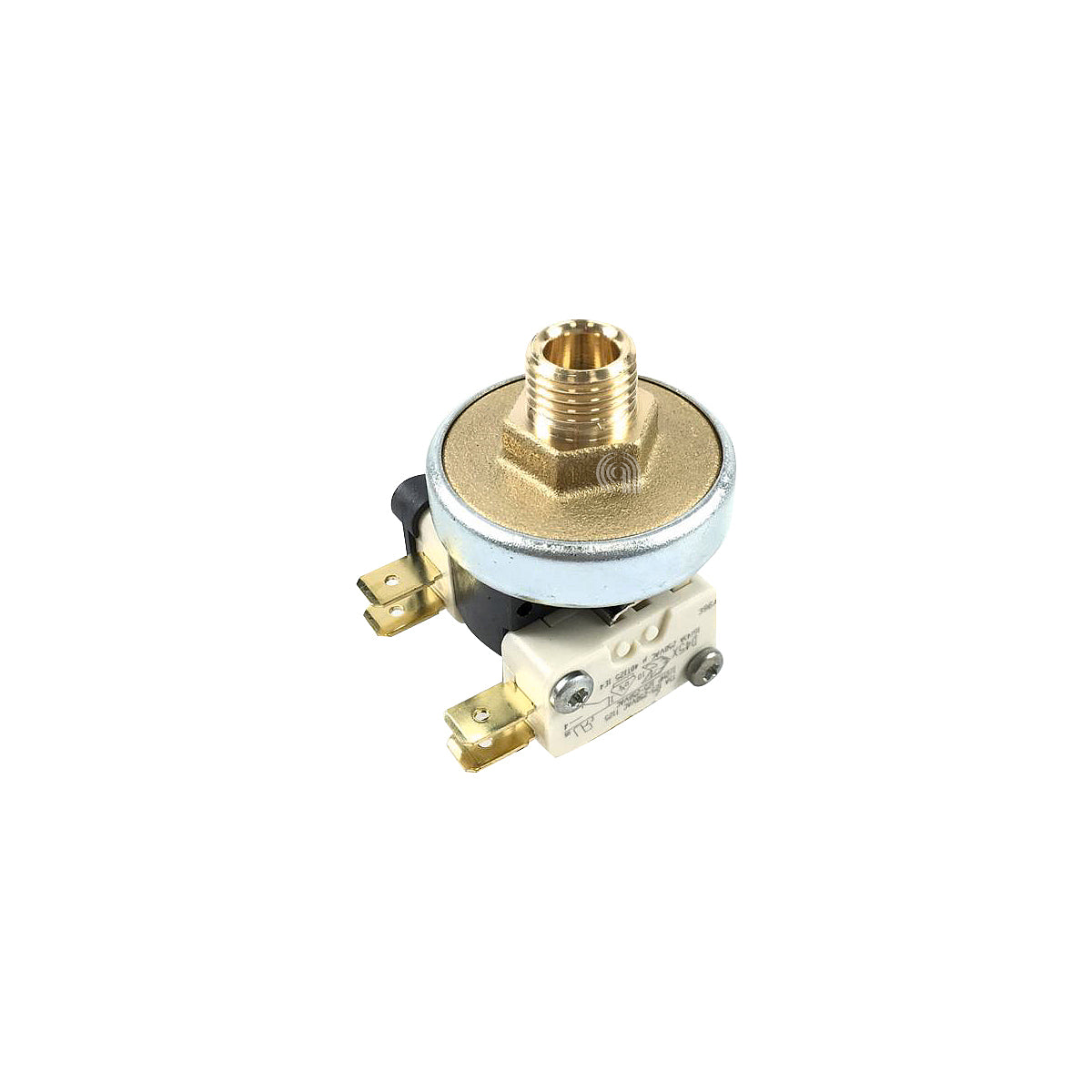 POLM0002073