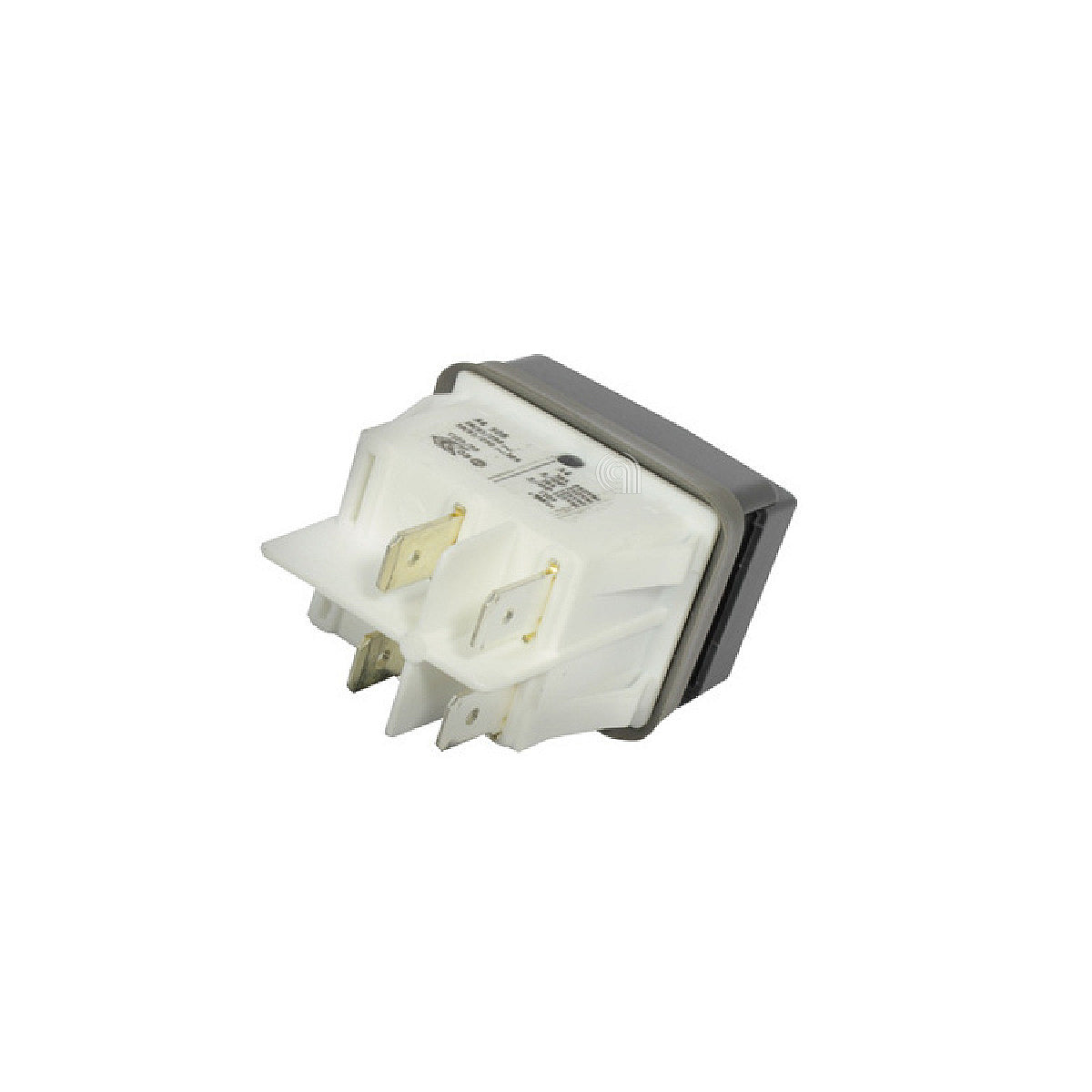 POLM0002875