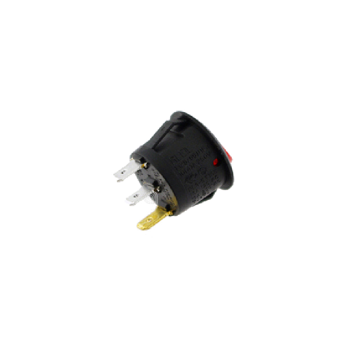 POLM0004016