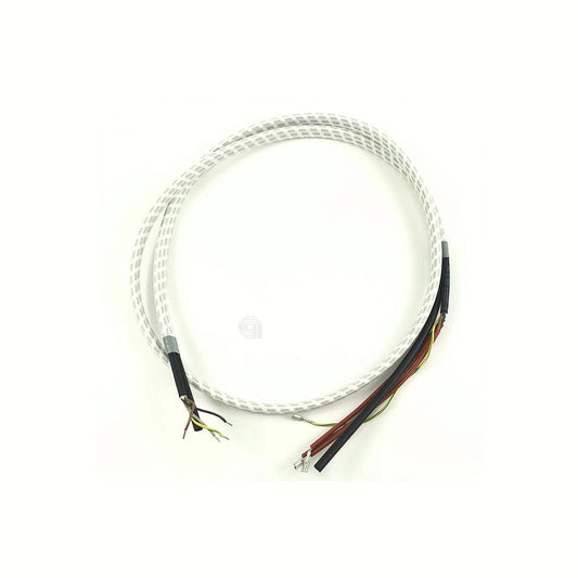 POLM0004061