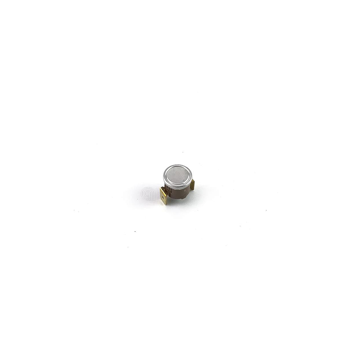 POLM0004073