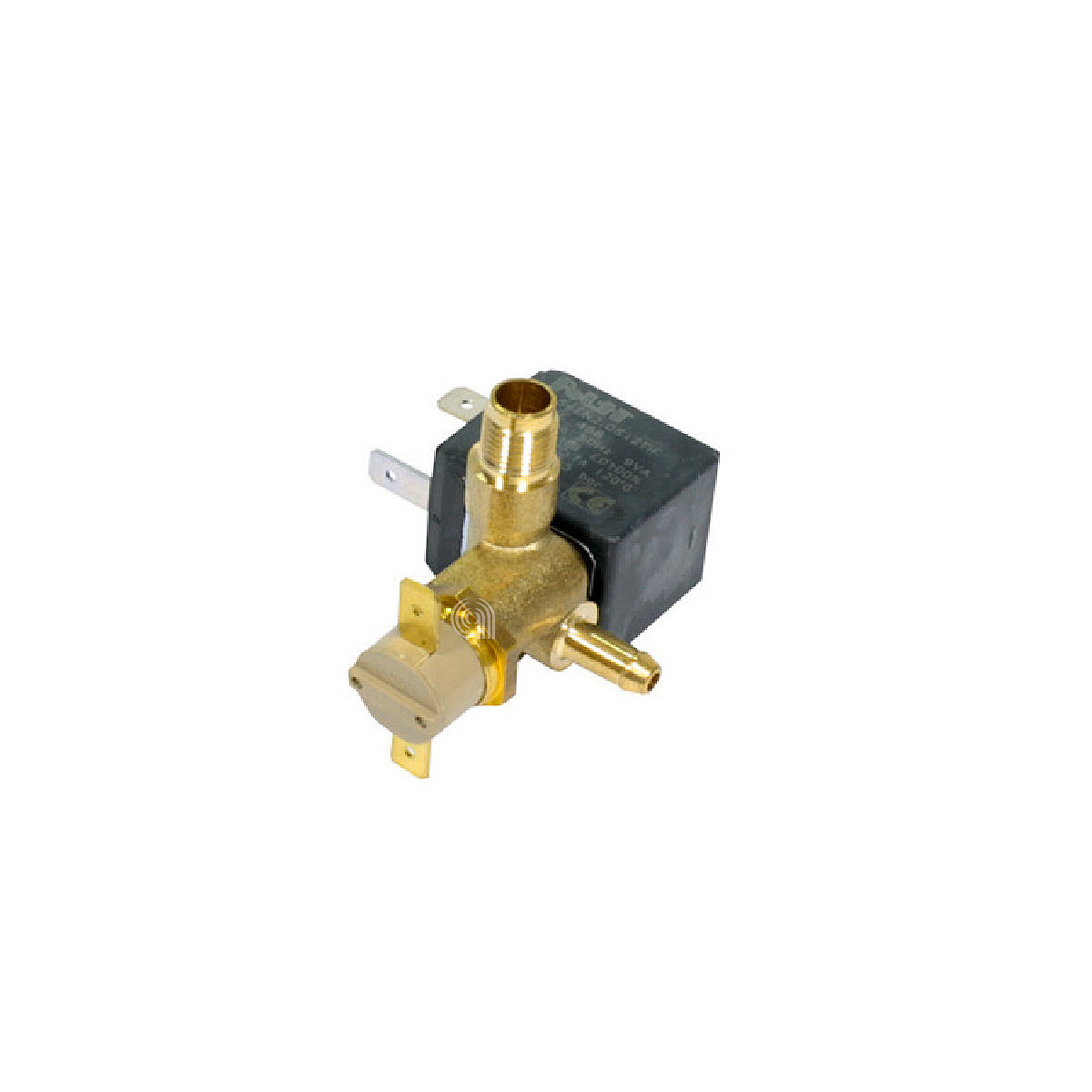 POLM0005307