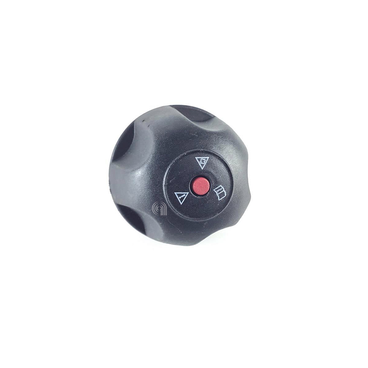 POLM0005563