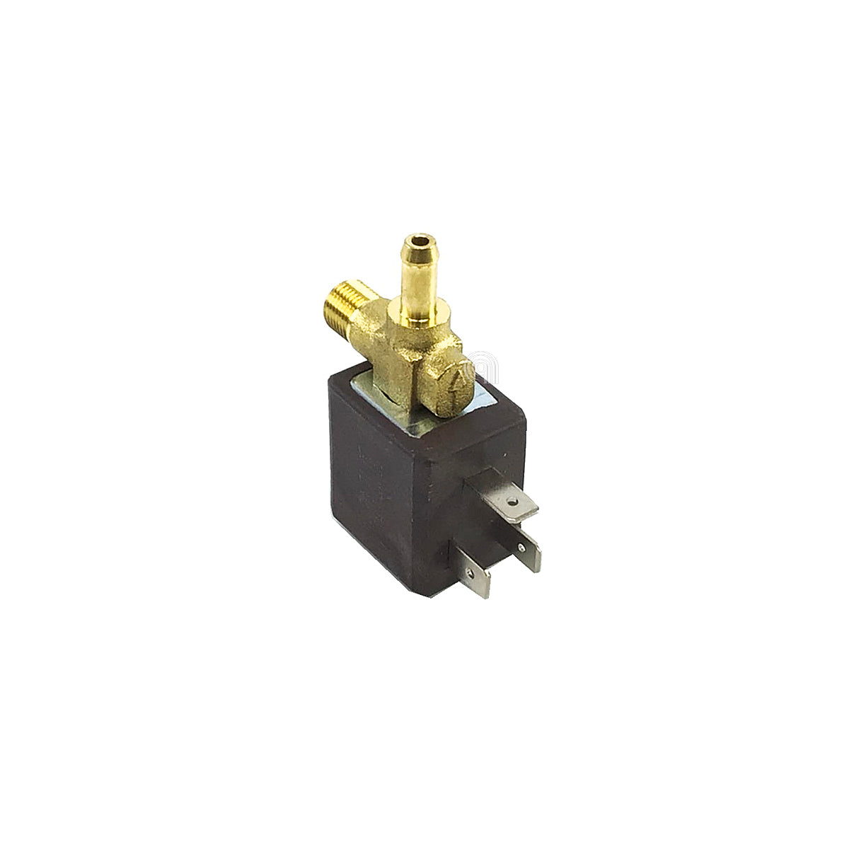 POLM0006345