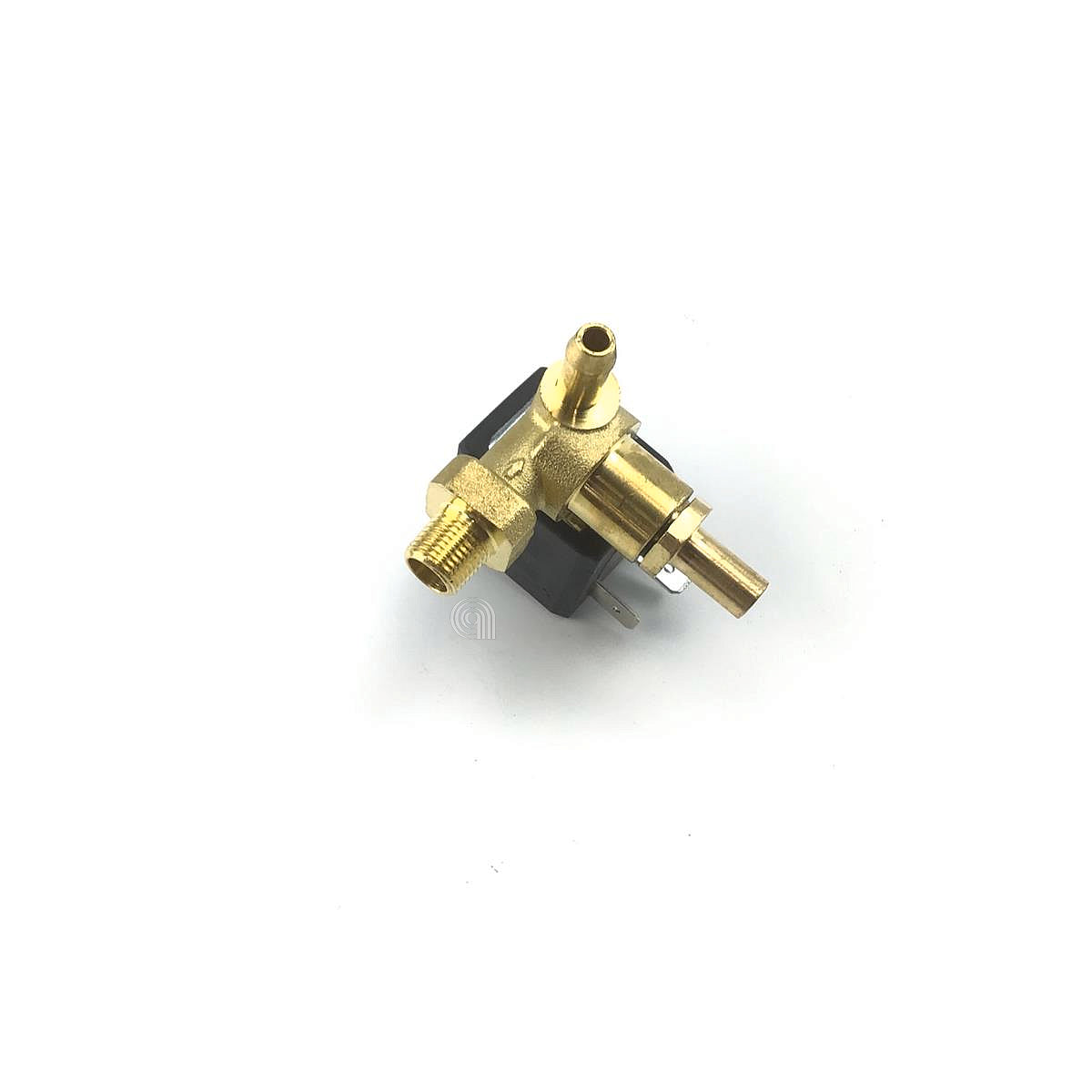 POLM0006753