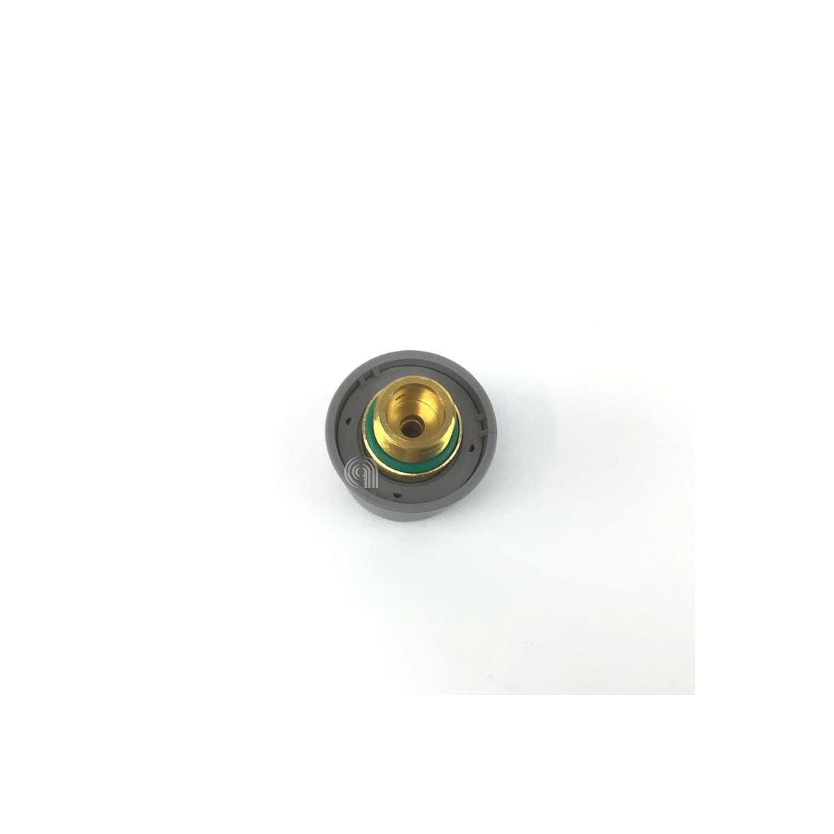 POLM0006858