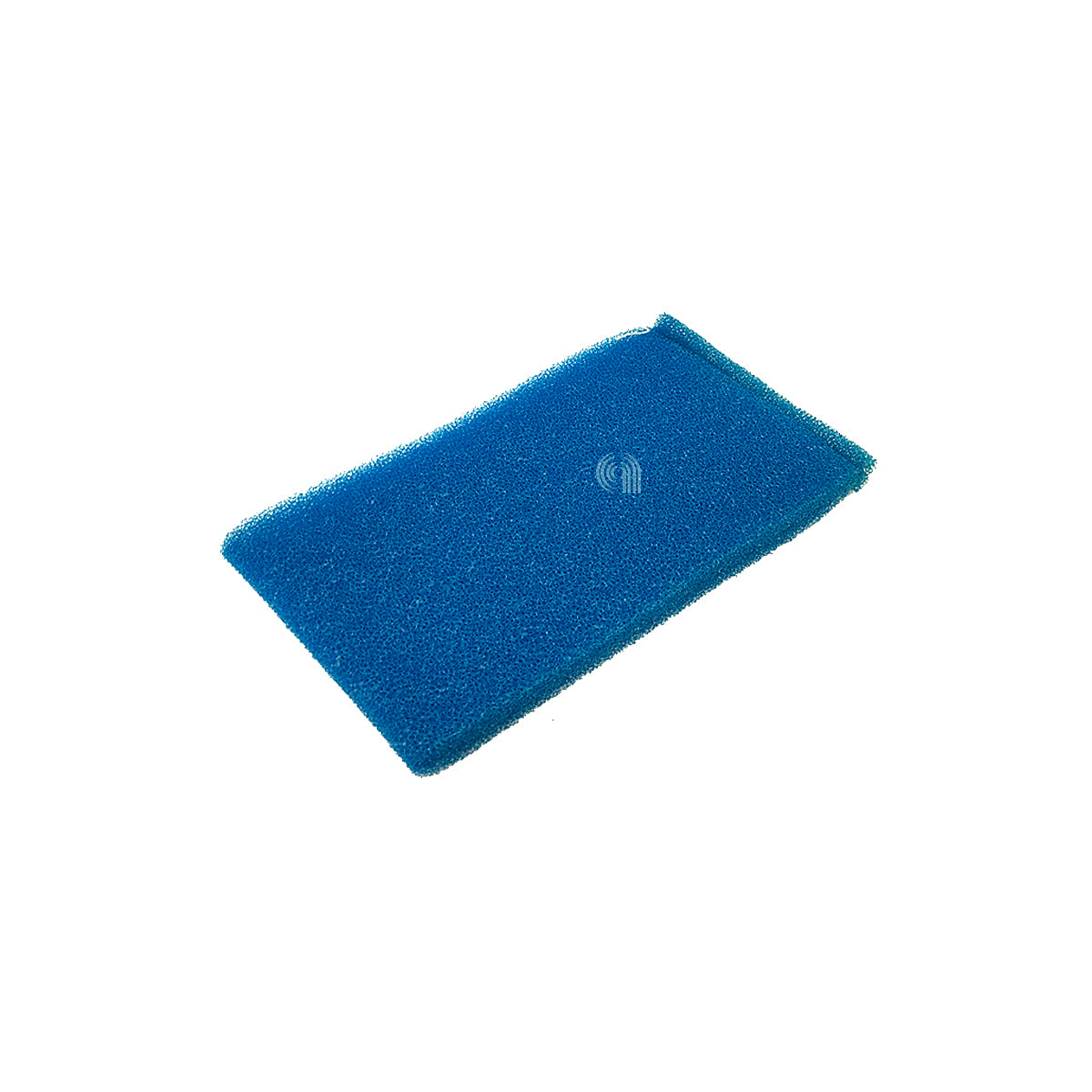 POLM0S06023