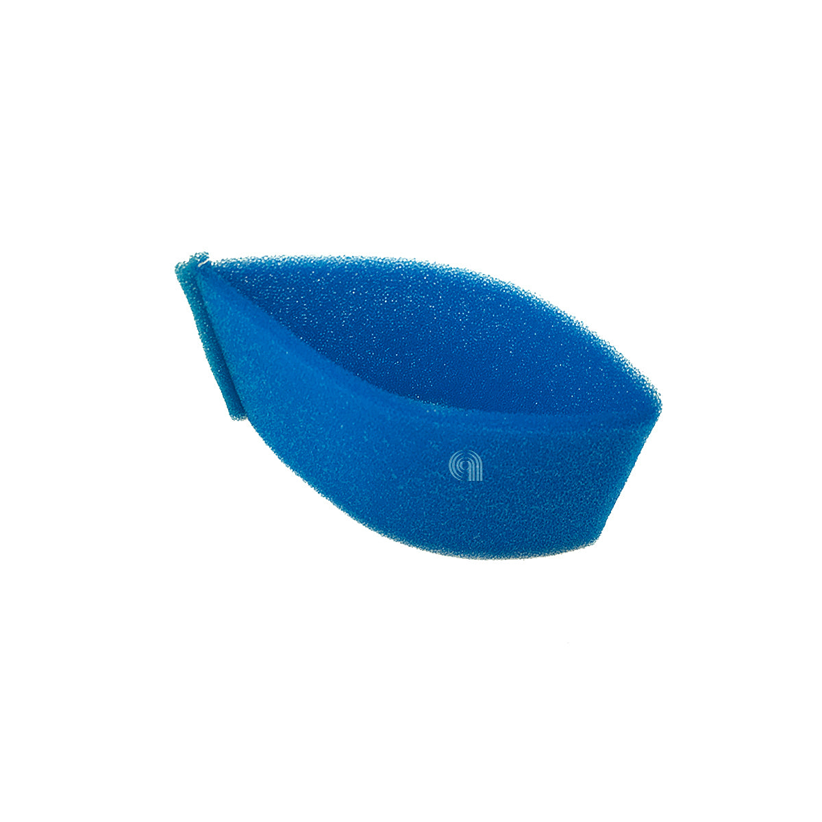 POLM0S06023