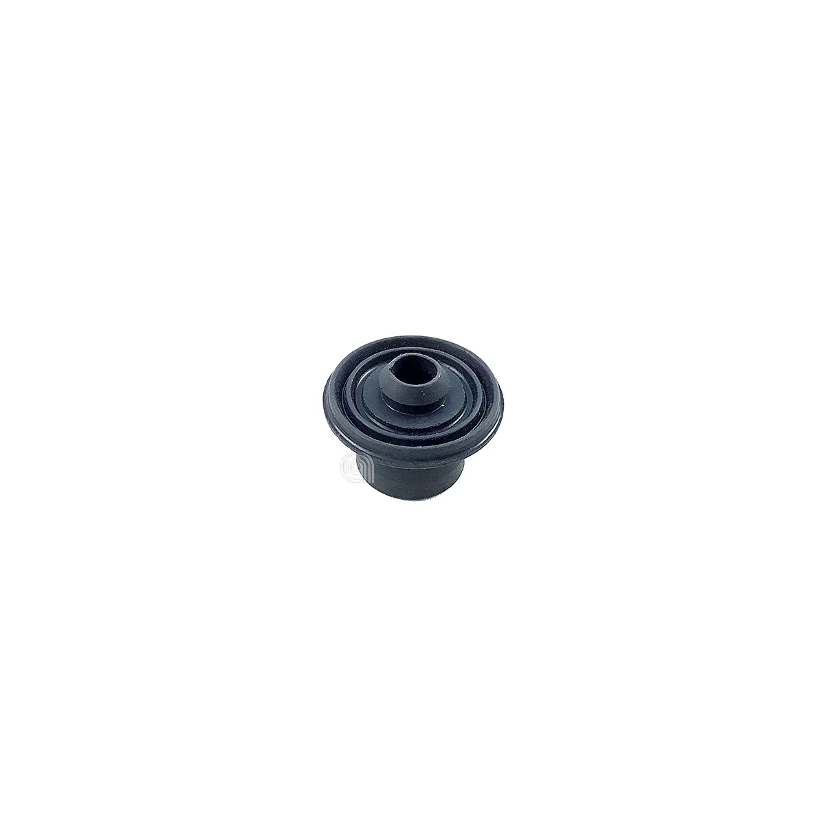 SEBCS-00094565