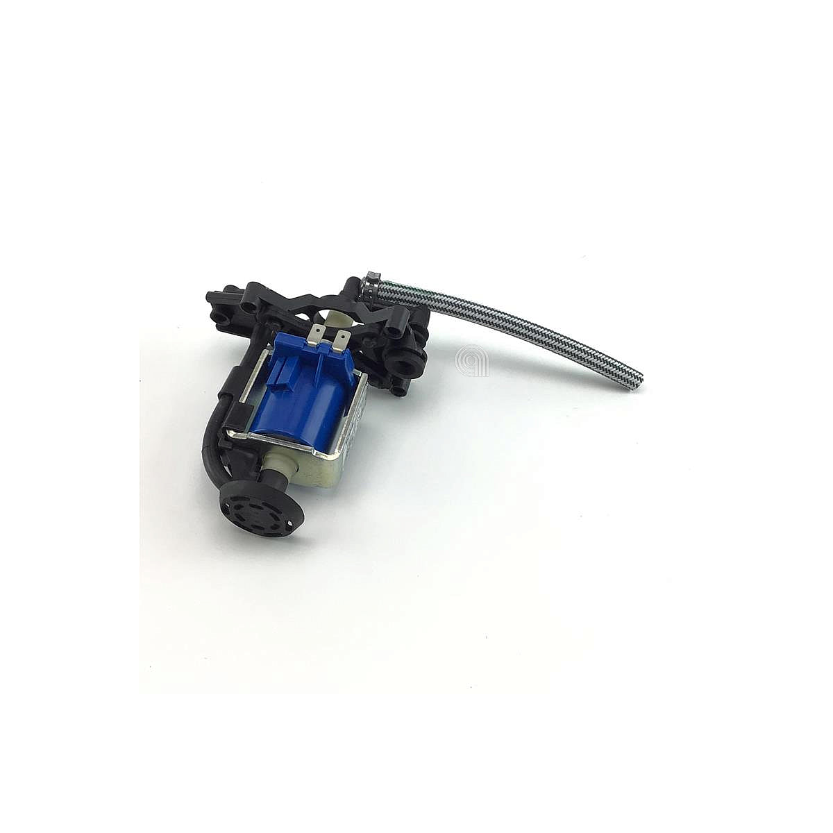 SEBCS-00123020