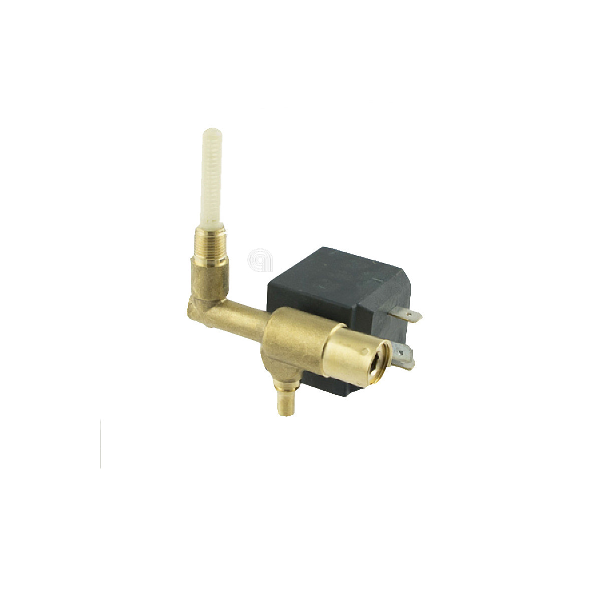 SEBCS-00129465