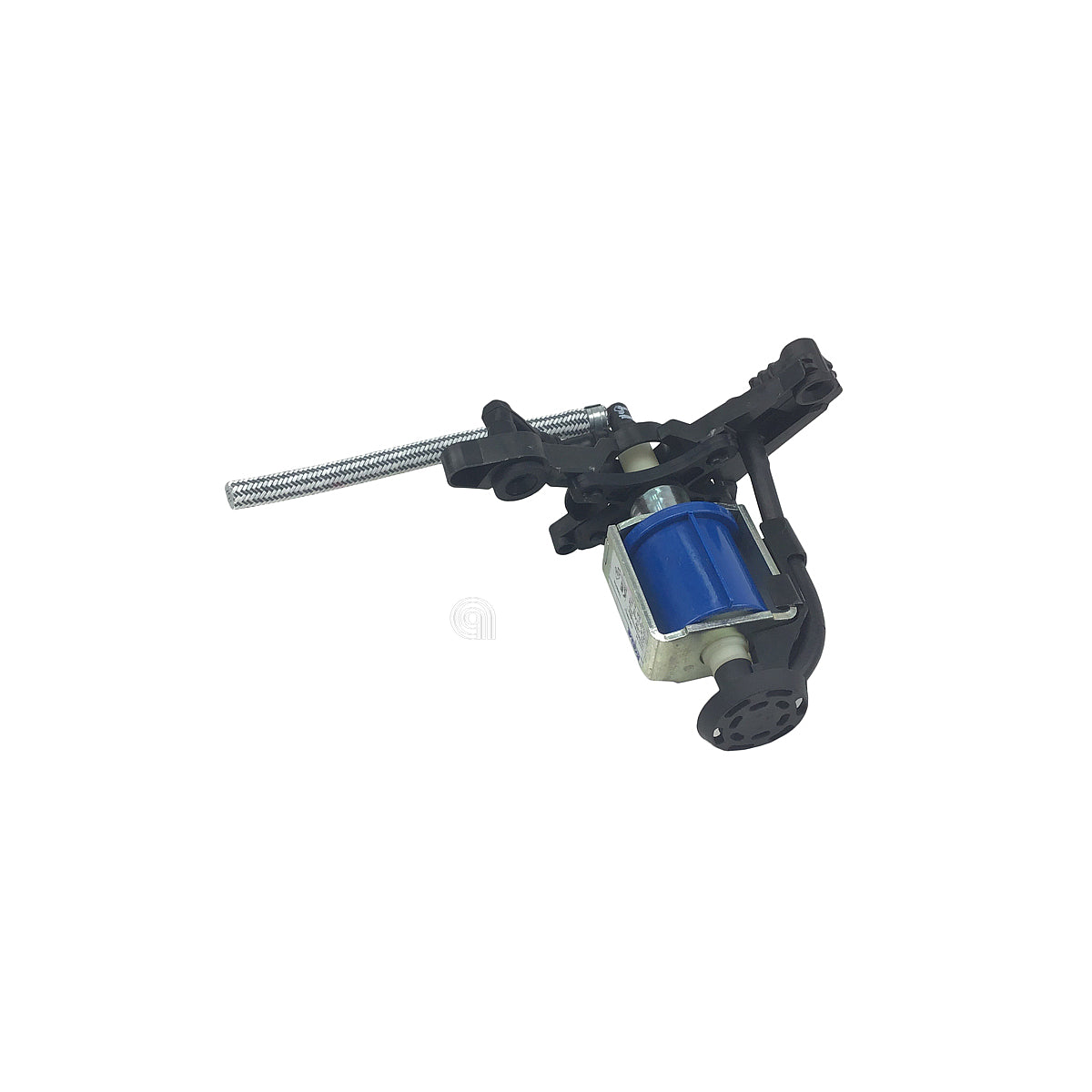 SEBCS-00129469