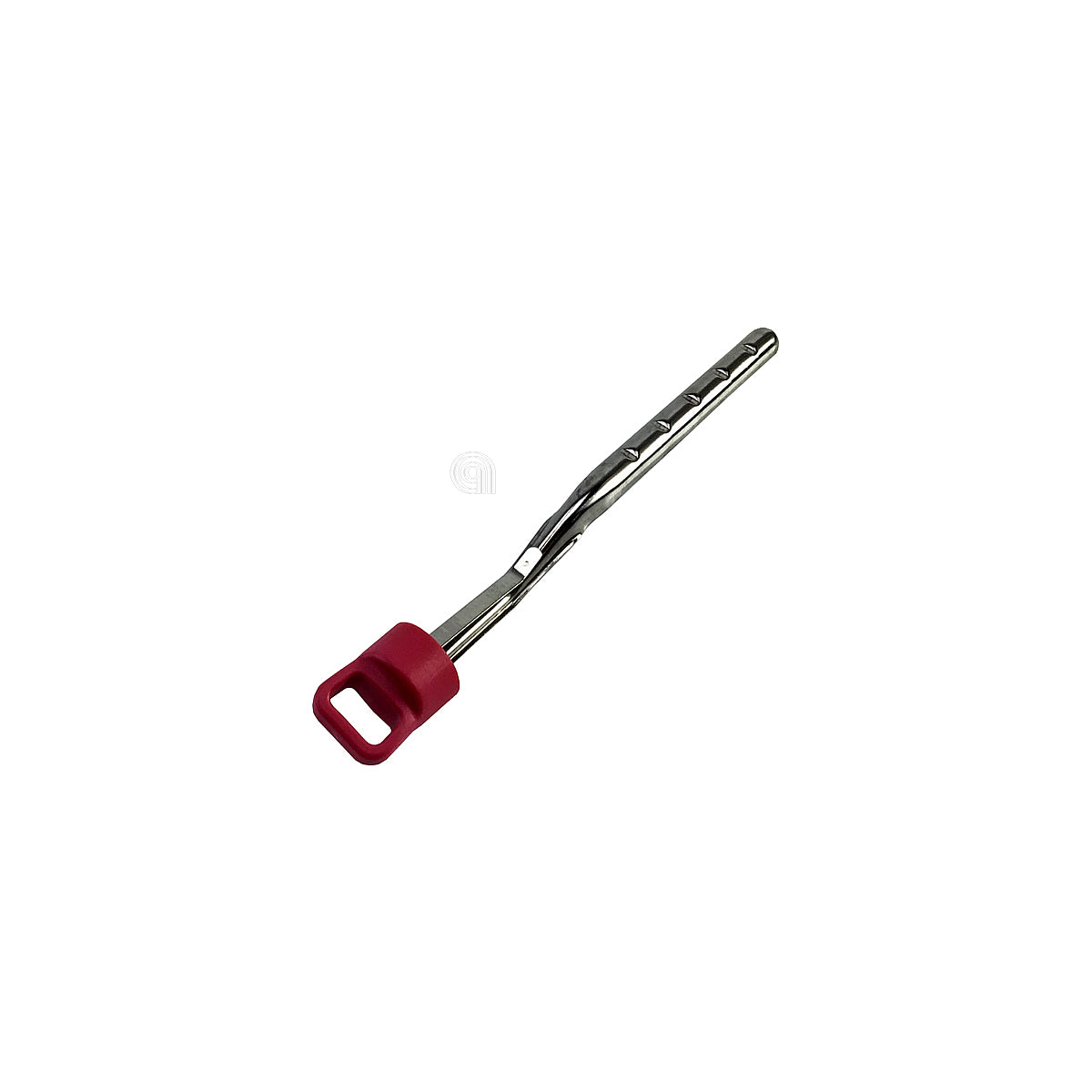 SEBCS-00130883